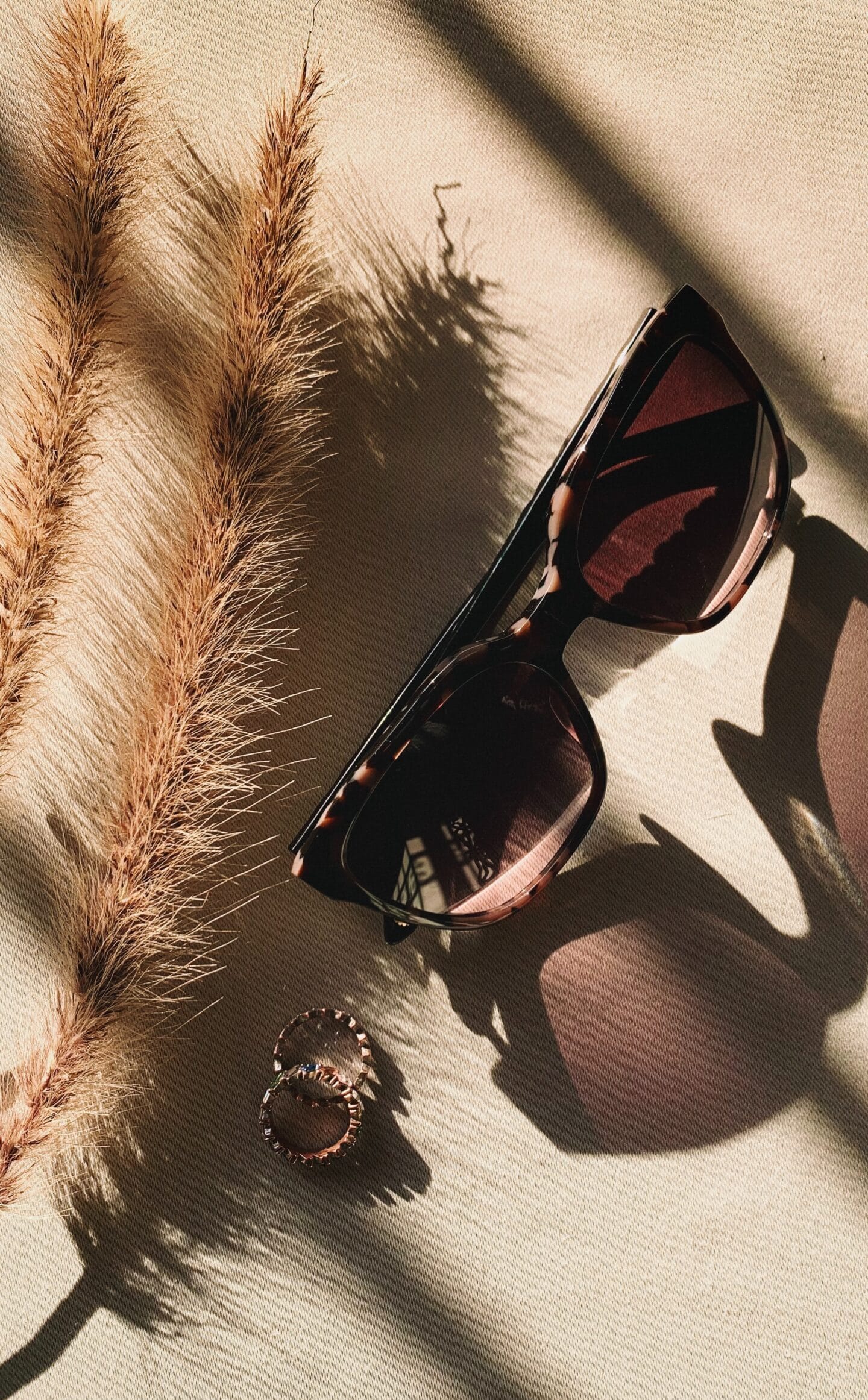 farah-samy-xU69-CkS67E-unsplash